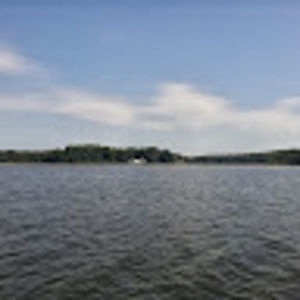 Meet your Posher, Dyshone